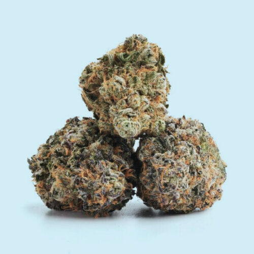 Close-up image of Alpha Blue cannabis buds against a white background, resized to 600x600 for Psilocybin Chocolate Shop