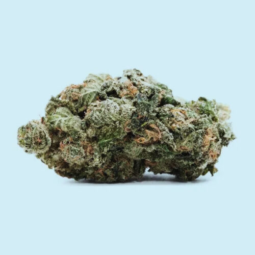 Love Potion 2 – 420 Cannabis Strain | Passionate Euphoria & Mental Clarity